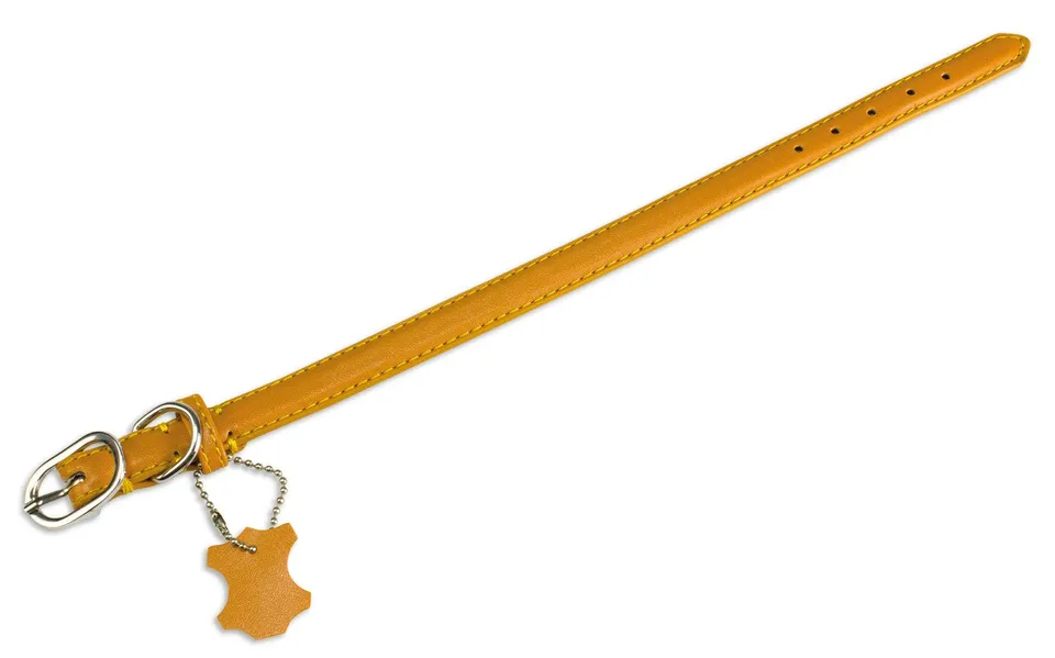 arquivet-collier-cuir-chien-beige-uni-1-5x35-cm image 1