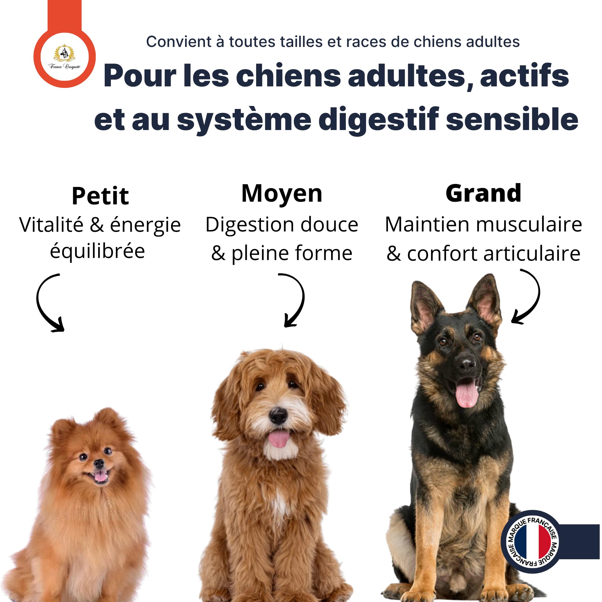 france-croquettes-royal-agneau-croquettes-chien-adulte-agneau-12-kg-hypoallerg-n image 4