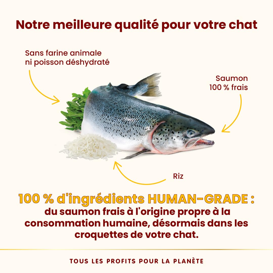almo-nature-hfc-our-best-croquettes-chat-saumon-300g-sans-gluten image 3