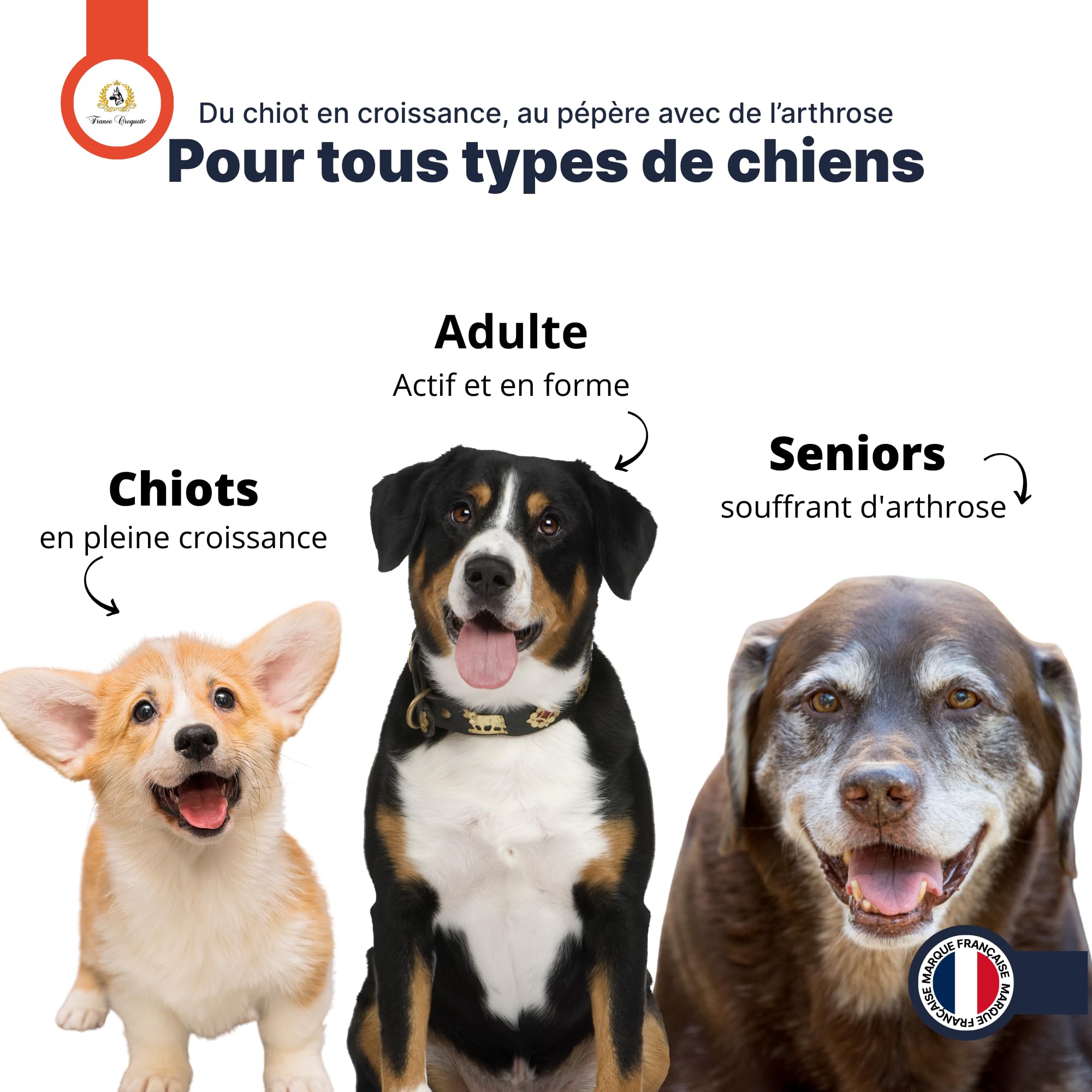 france-croquettes-ost-ocynoline-calcium-poudre-chien-400g image 8