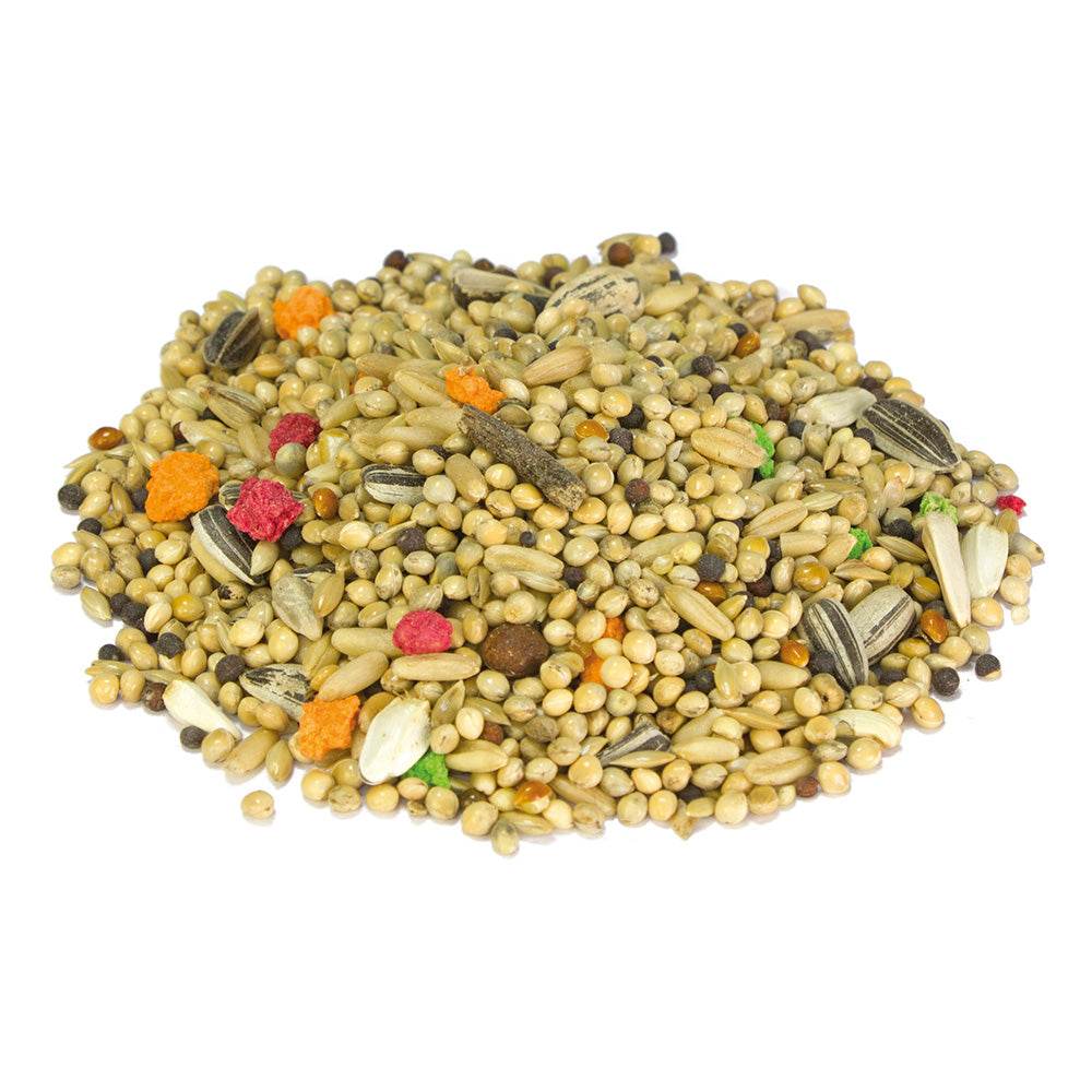 arquivet-m-lange-perruches-ins-parables-graines-1-kg image 2