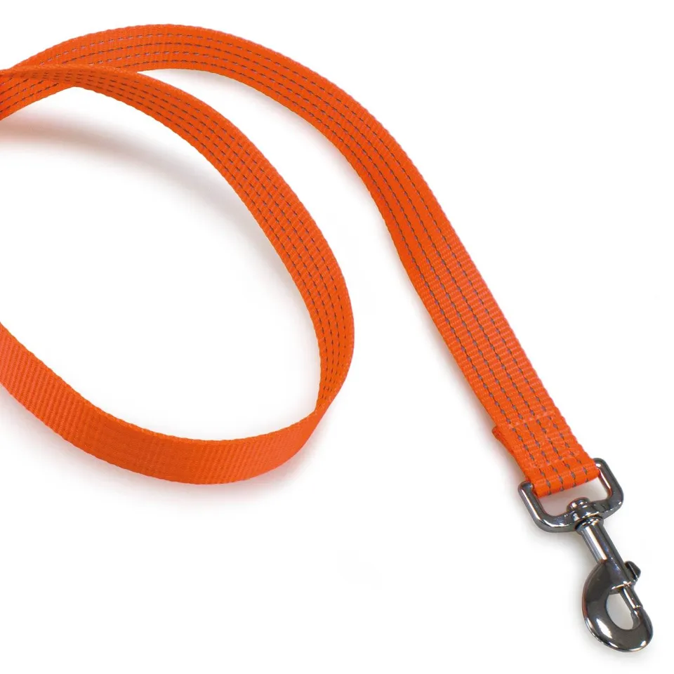 arquivet-laisse-chien-nylon-orange-2x120cm-promenade image 1