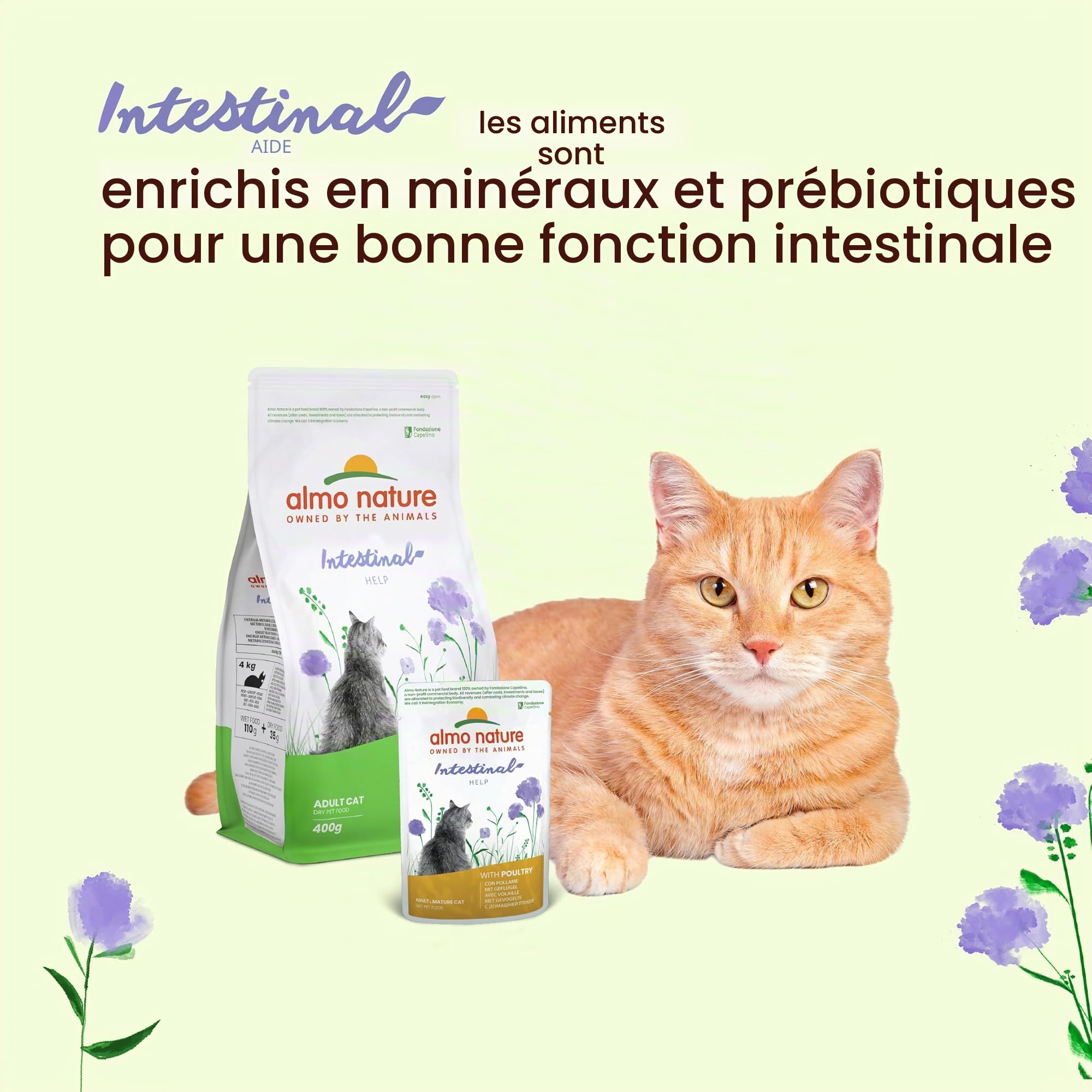 almo-nature-functional-intestinal-help-p-t-e-chat-volaille-30x70g image 3