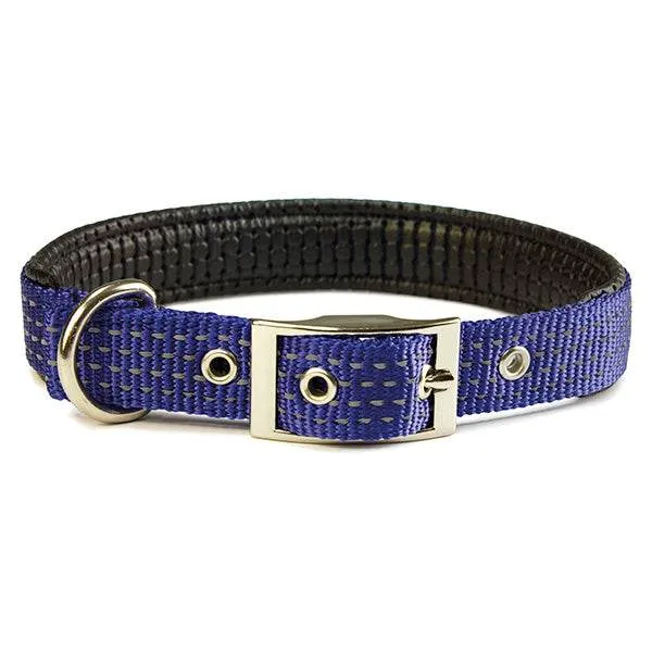arquivet-collier-nylon-chien-bleu-1-5x38-cm-rembourr image 1