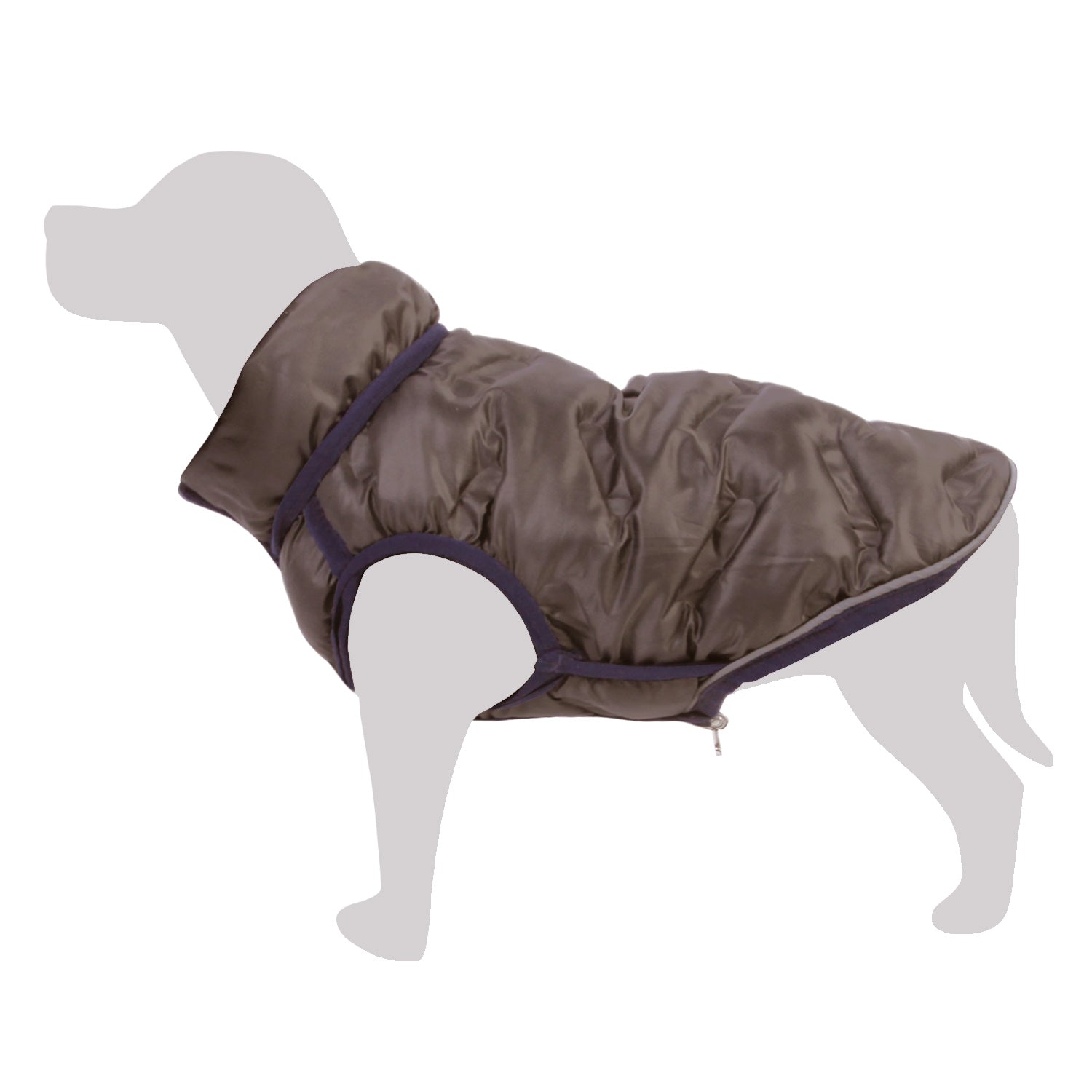 arquivet-terranova-gilet-r-versible-chien-vert-gris-xs image 2