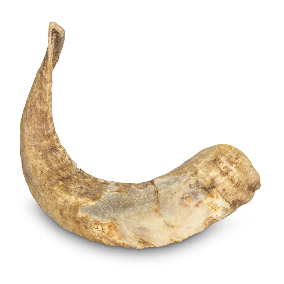 arquivet-corne-friandise-chien-b-lier-moins-de-200g-anti-tartre image 1