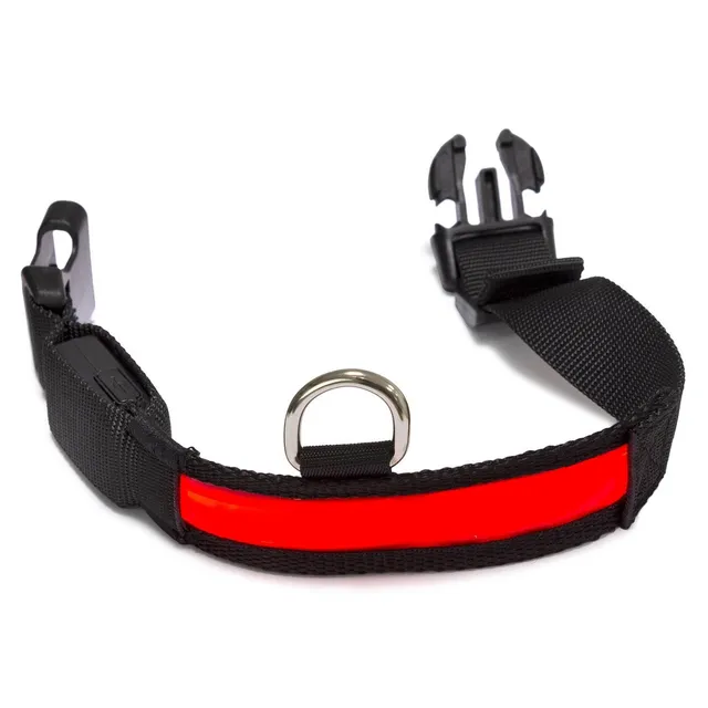 arquivet-collier-lumineux-led-chien-rouge-s-28-40-cm-nylon image 1
