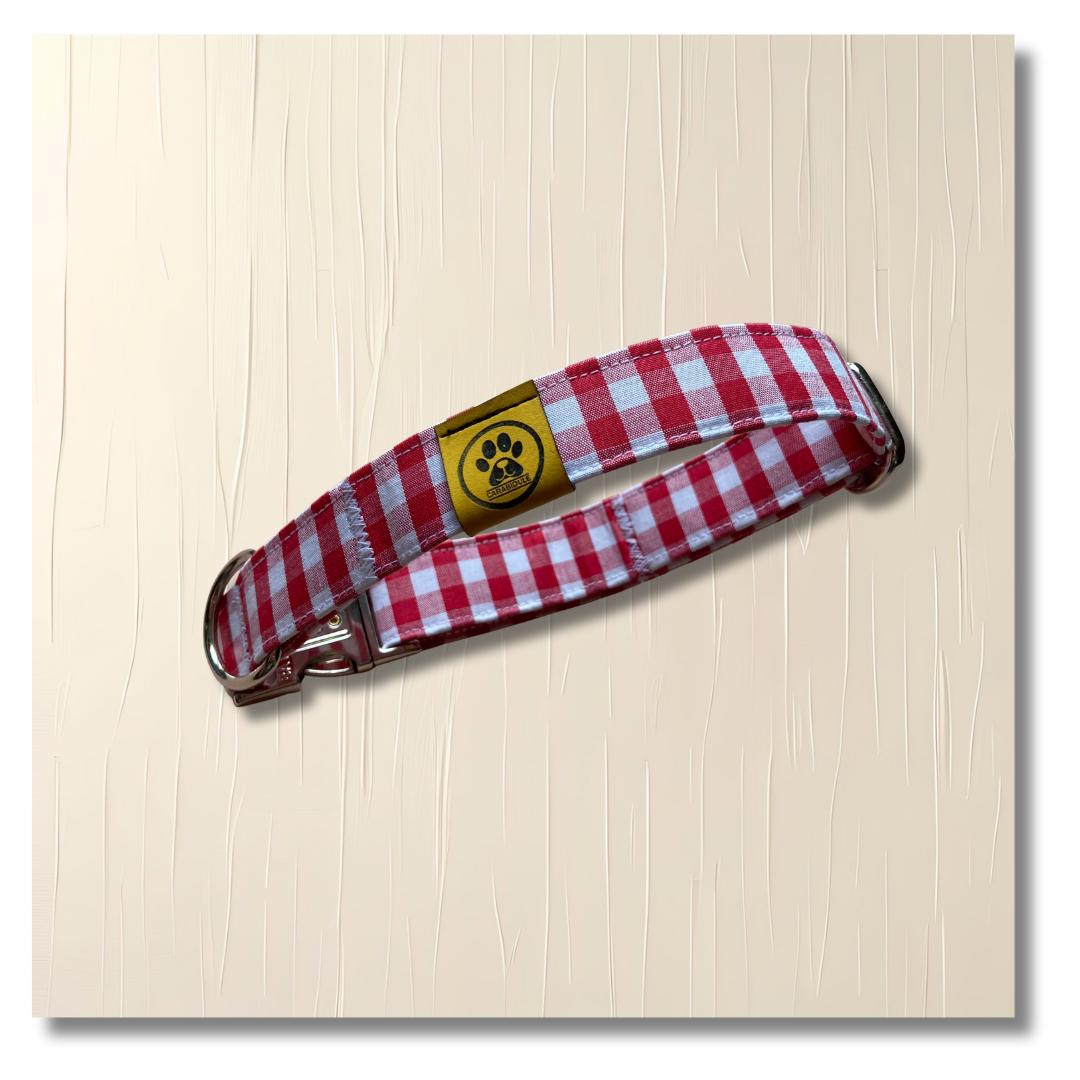 carabidule-colliers-collier-chien-carreaux-rouge-r-glable-28-40-cm image 1