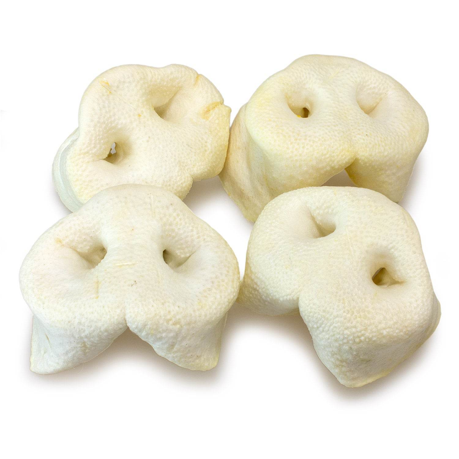 arquivet-friandise-chien-groin-de-porc-s-ch-x20 image 3