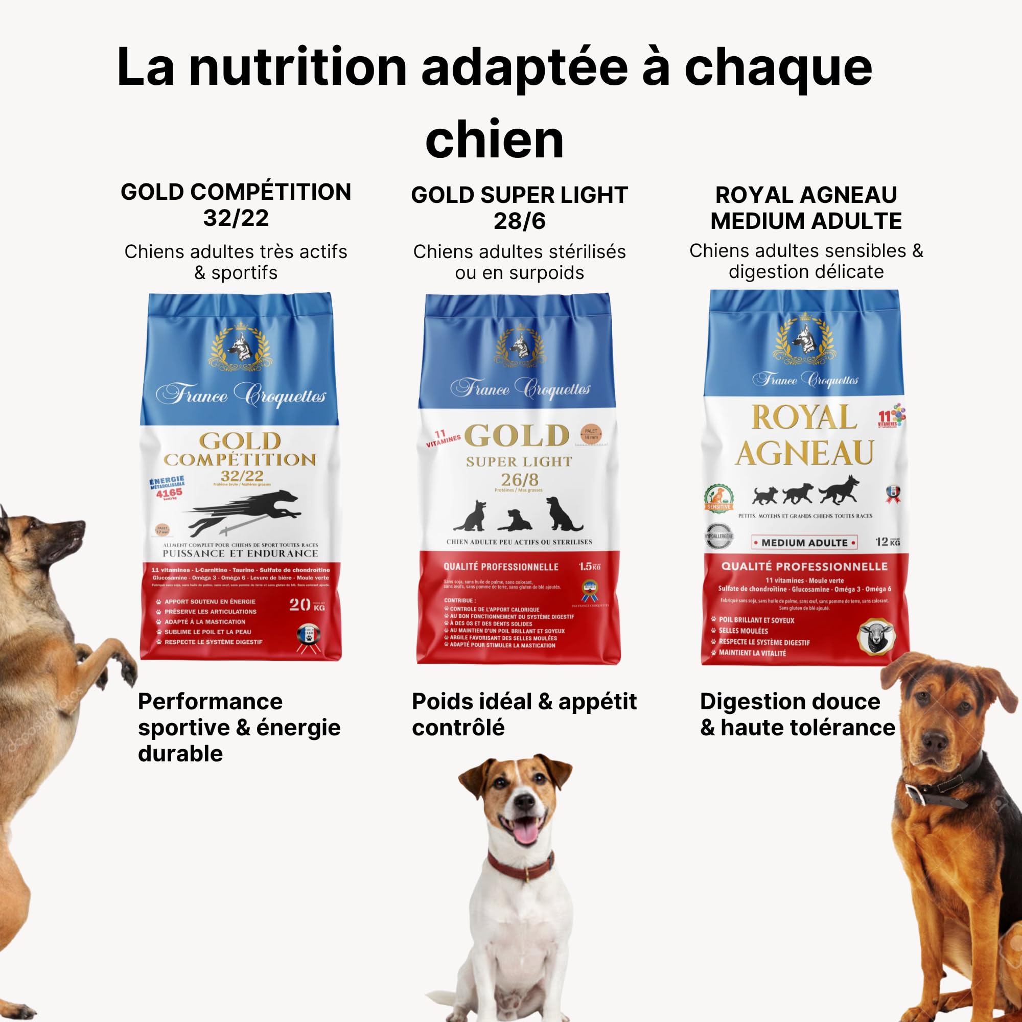france-croquettes-gold-sport-energy-32-16-croquettes-chien image 8