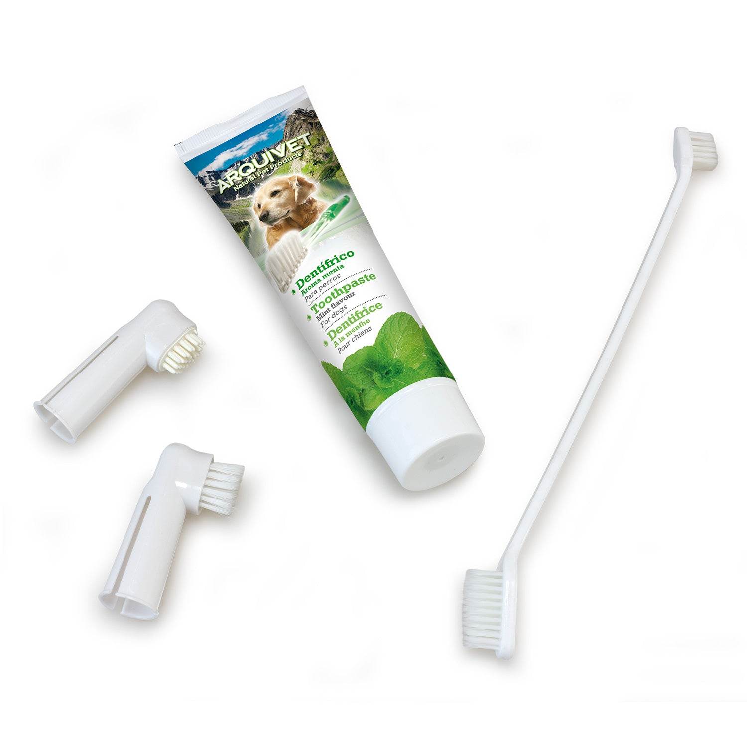 arquivet-kit-dentaire-chien-menthe-brosses-dentifrice-haleine image 3