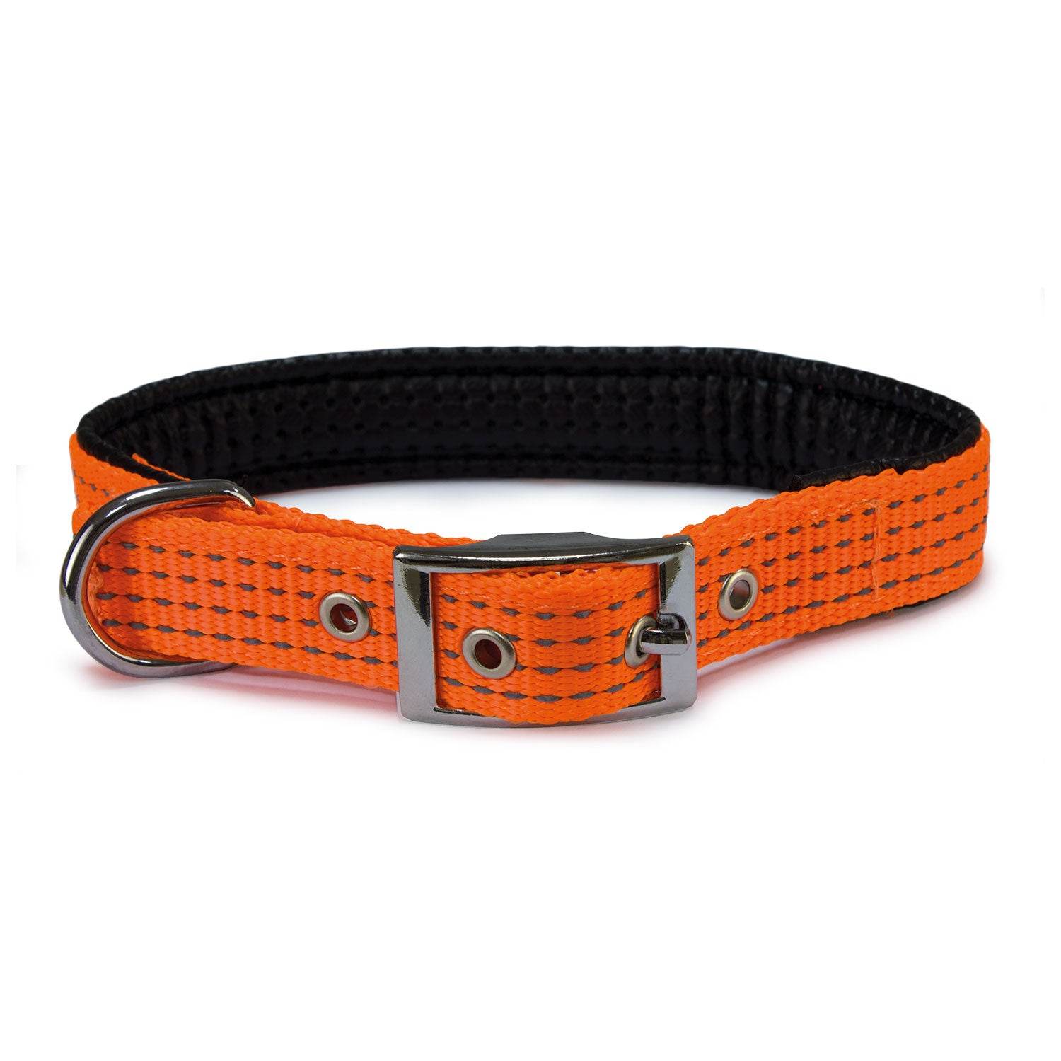 arquivet-collier-nylon-chien-bleu-1-5x38-cm-rembourr image 3