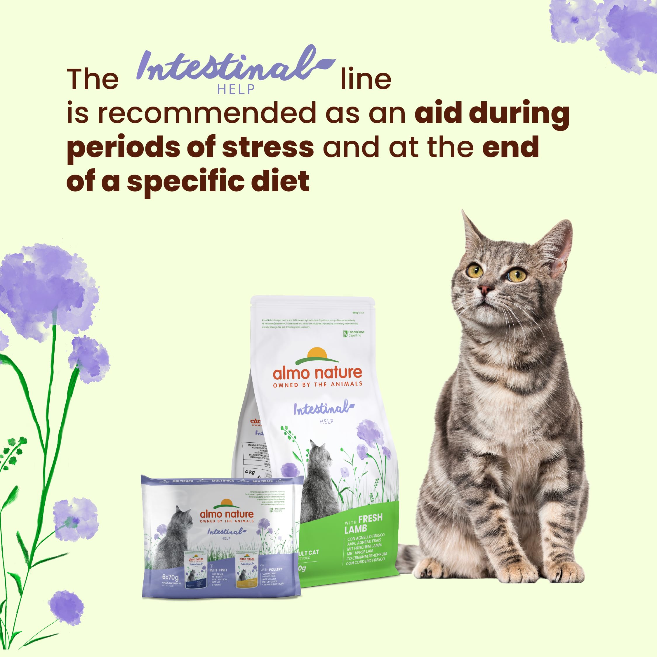 almo-nature-functional-intestinal-help-p-t-e-chat-volaille-30x70g image 4