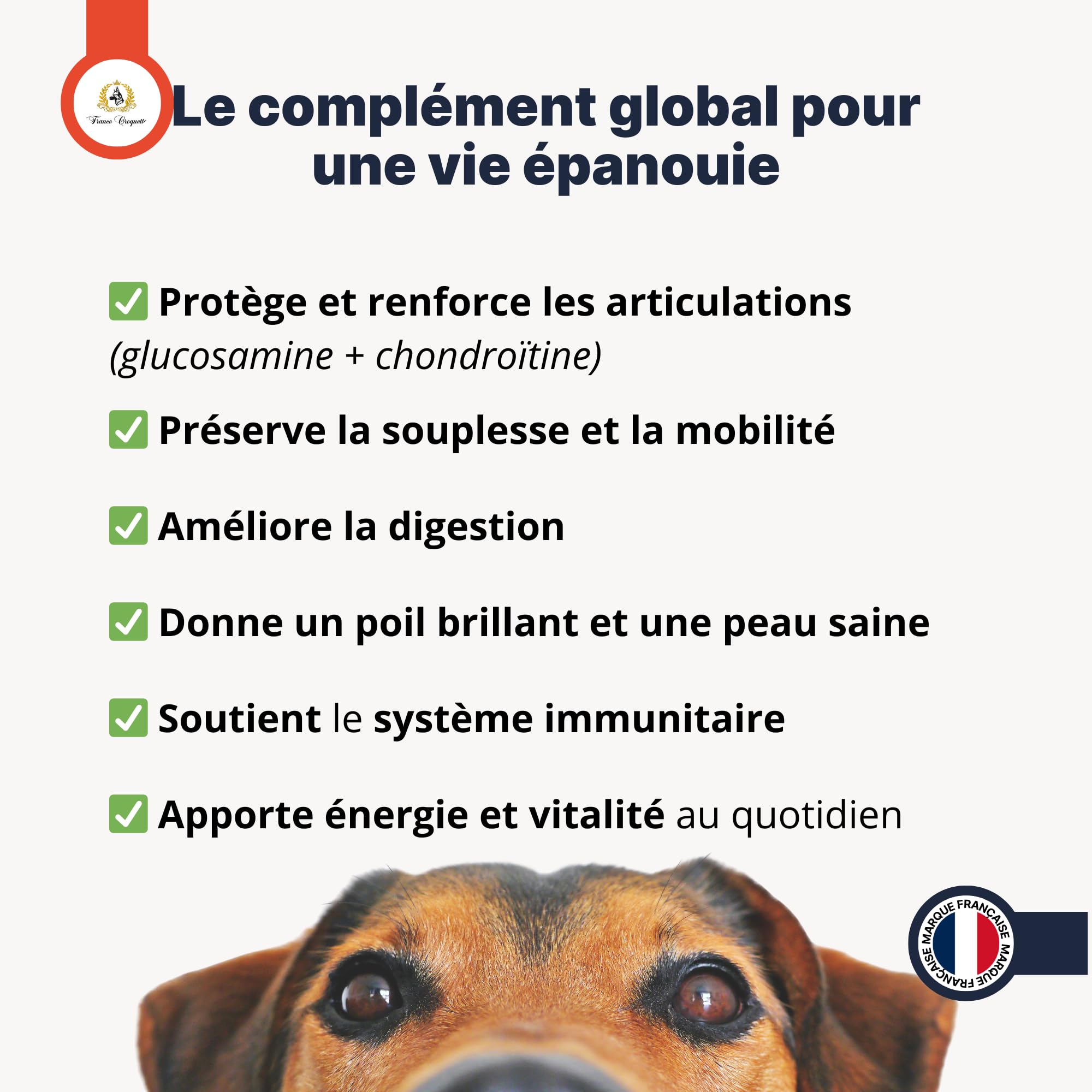france-croquettes-x3-poudre-chien-chat-500-g-articulations image 6