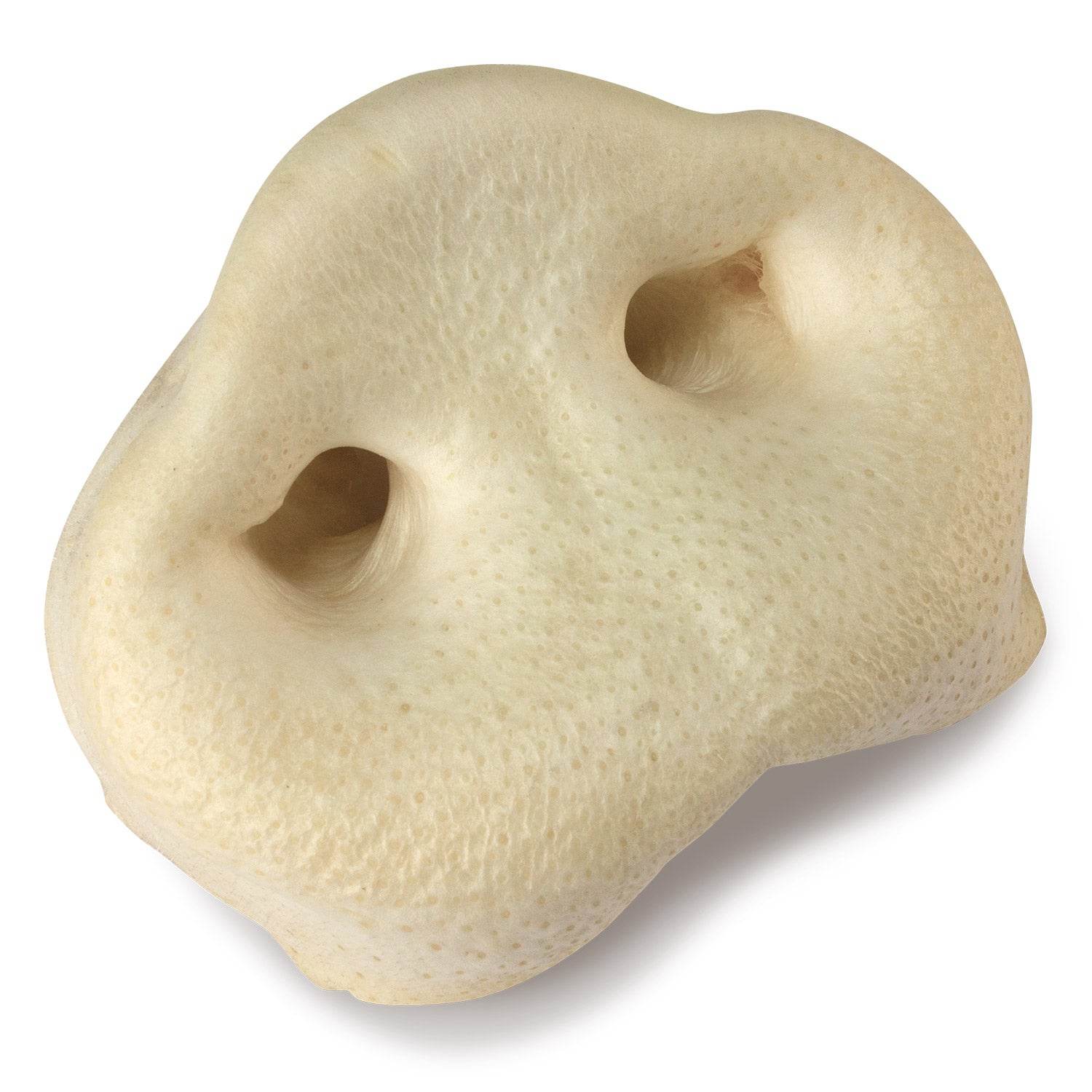 arquivet-friandise-chien-groin-de-porc-s-ch-x20 image 1