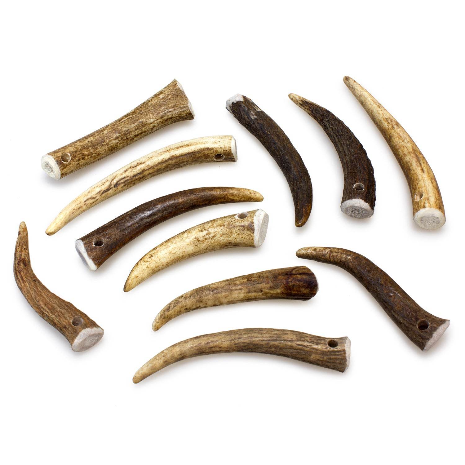 arquivet-bois-de-cerf-chien-naturel-15-39-g-m-cher image 3