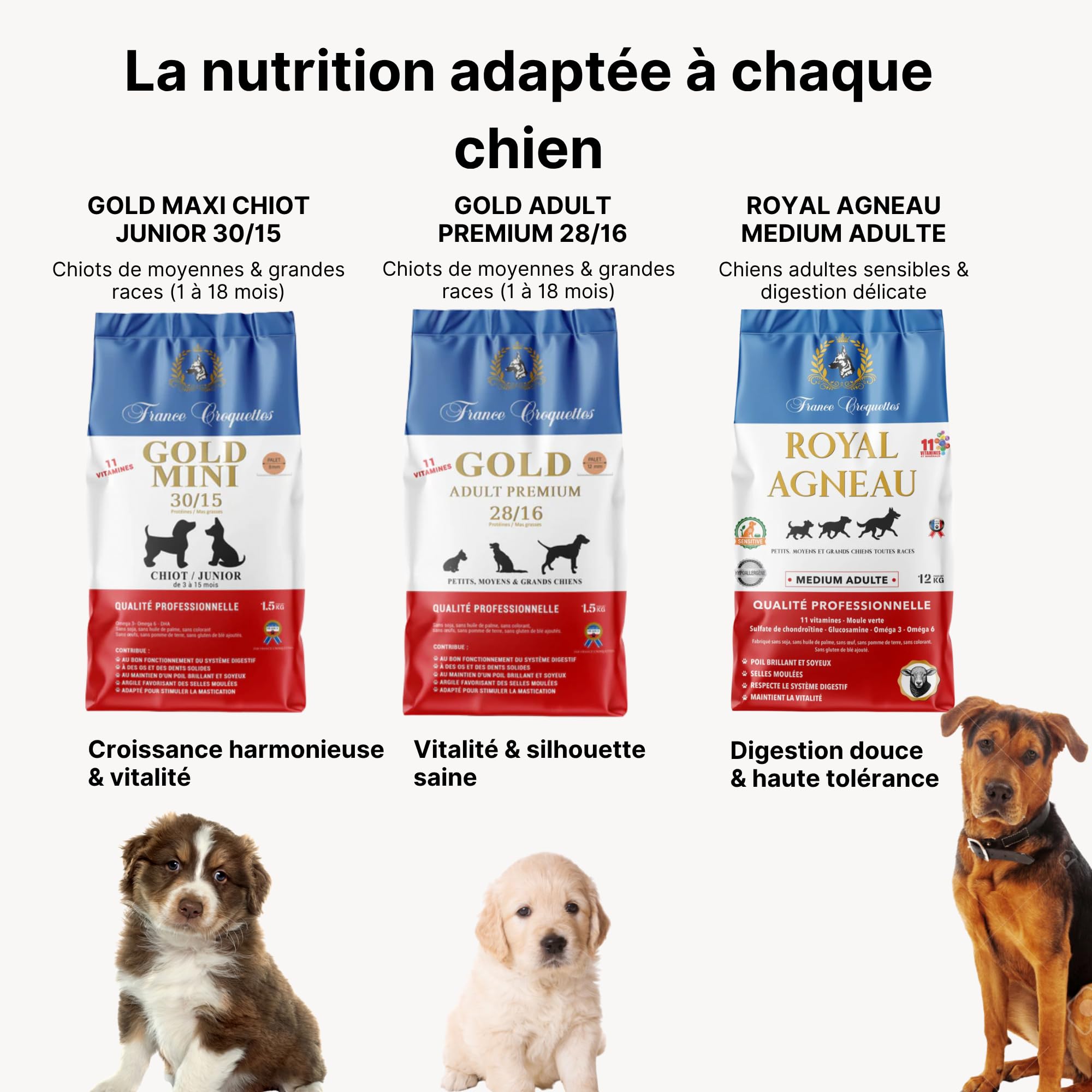 france-croquettes-gold-mini-chiot-junior-30-15-croquettes-3-kg image 7