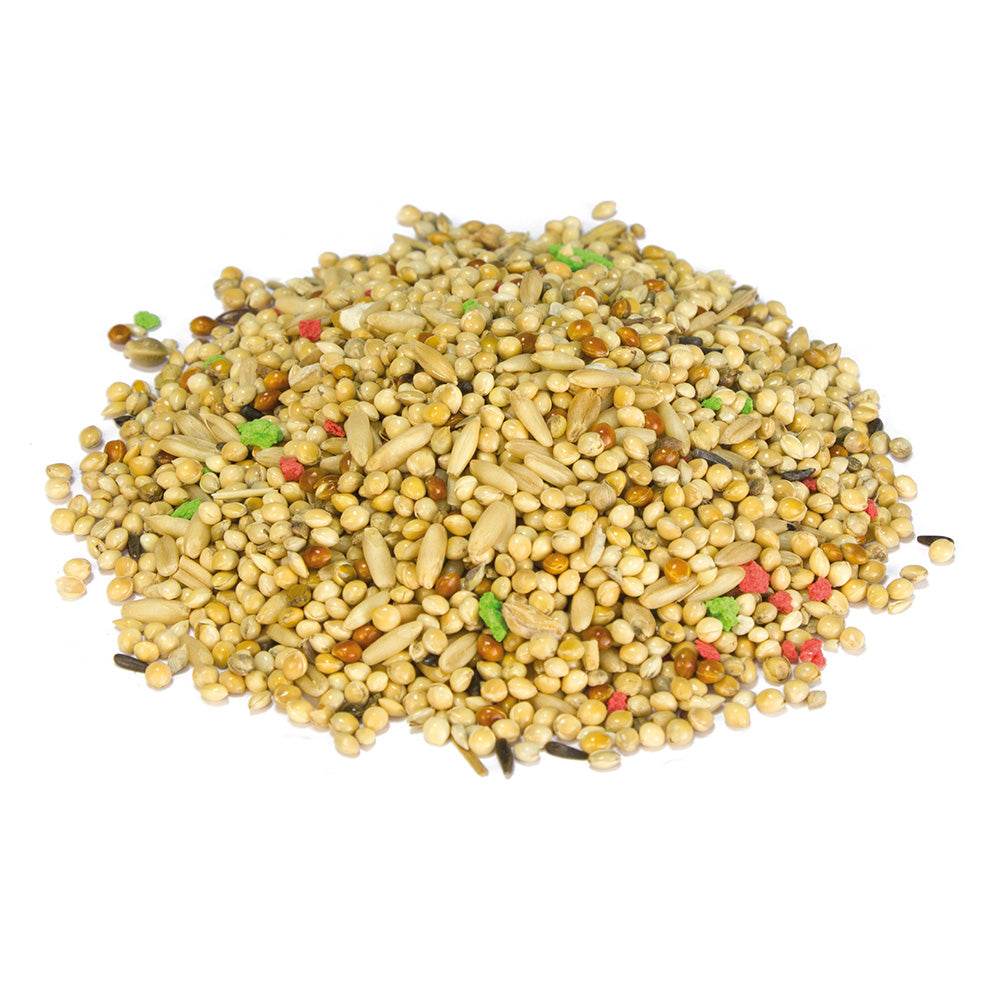 arquivet-m-lange-graines-perruches-1-kg-s-lection-qualit image 2
