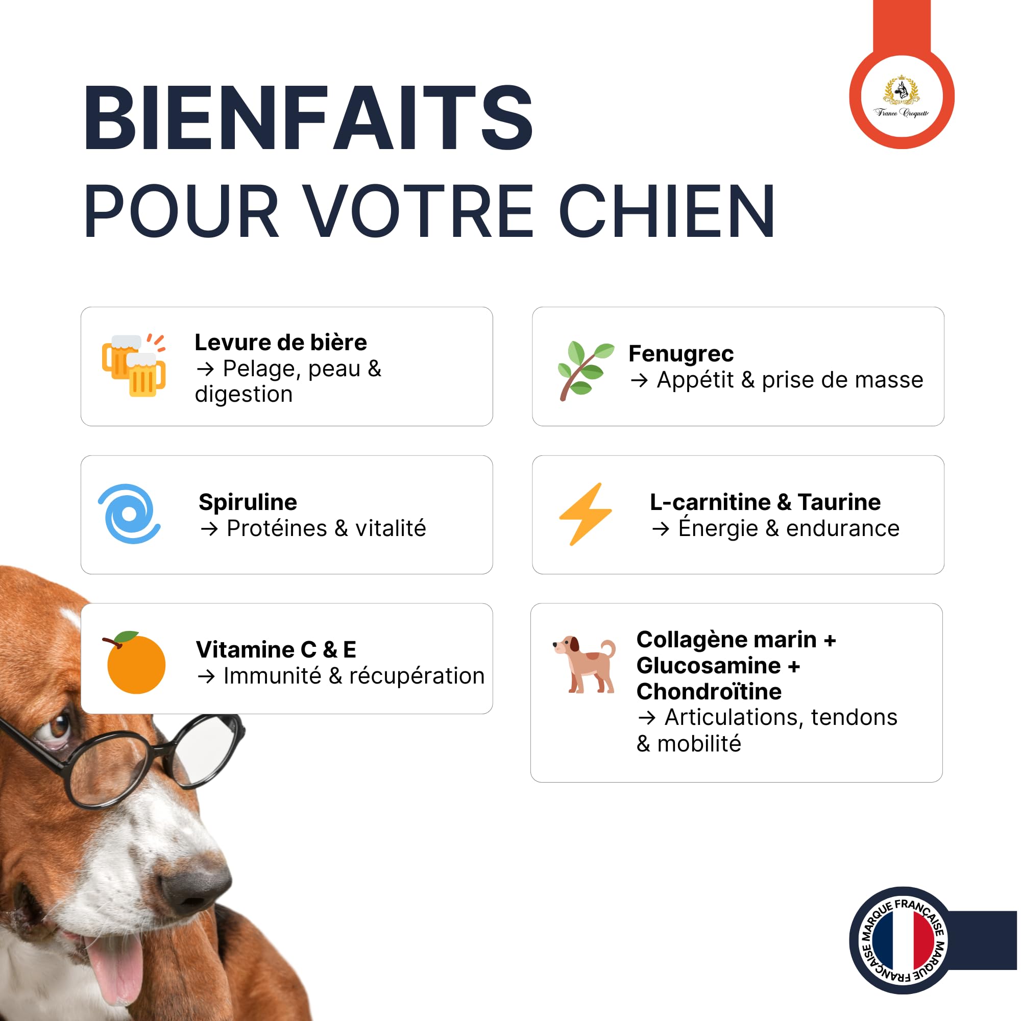 france-croquettes-x8-compl-ment-chien-poudre-500-g image 2