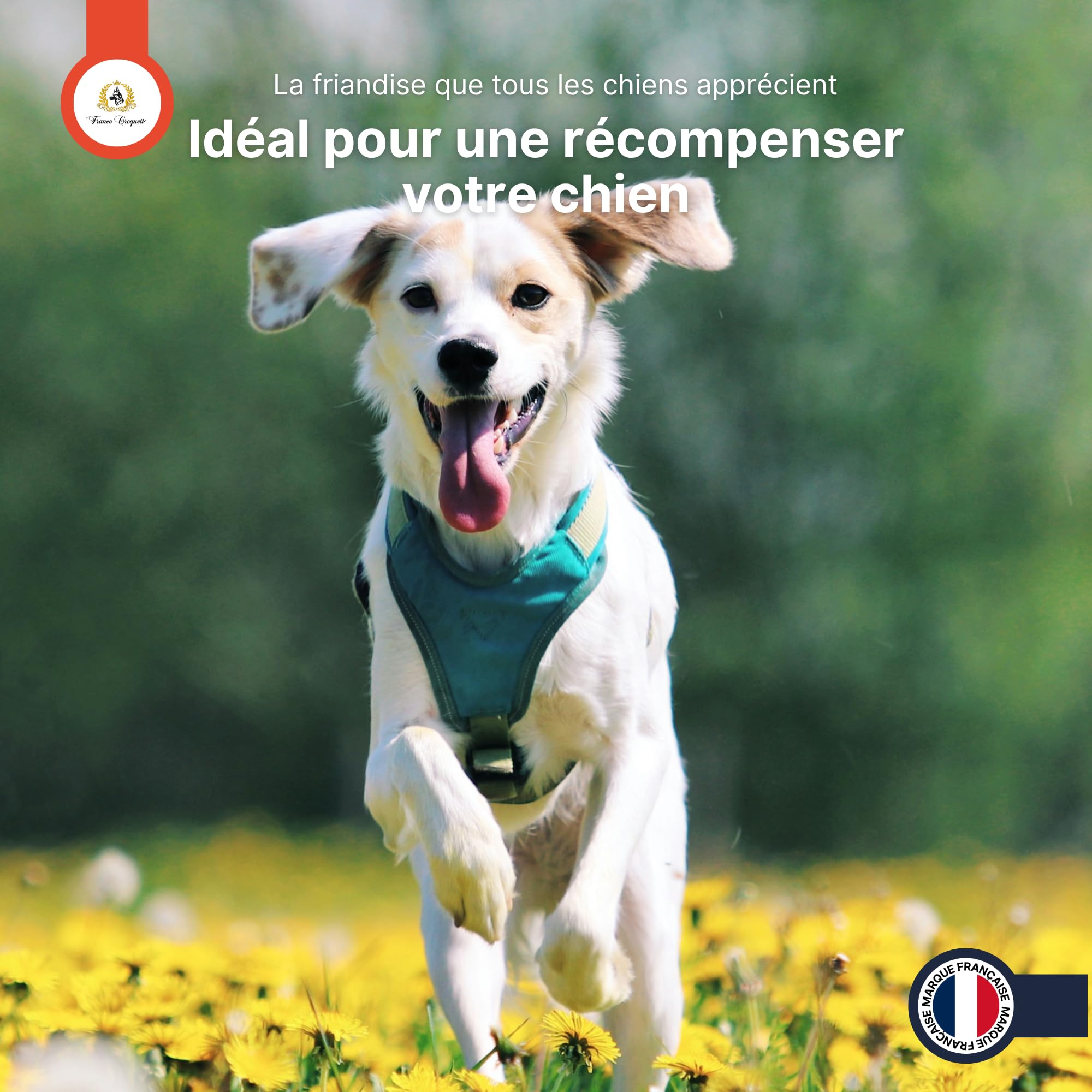 france-croquettes-cous-poulet-friandise-chien-500-g-naturel image 8