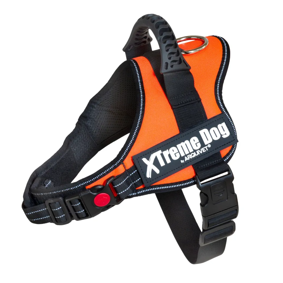 arquivet-xtreme-harnais-chien-orange-n-on-taille-m image 1