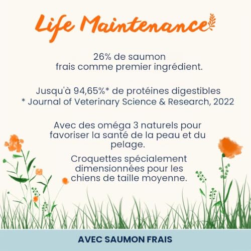 almo-nature-holistic-adult-croquettes-chien-saumon-frais-12-kg image 7