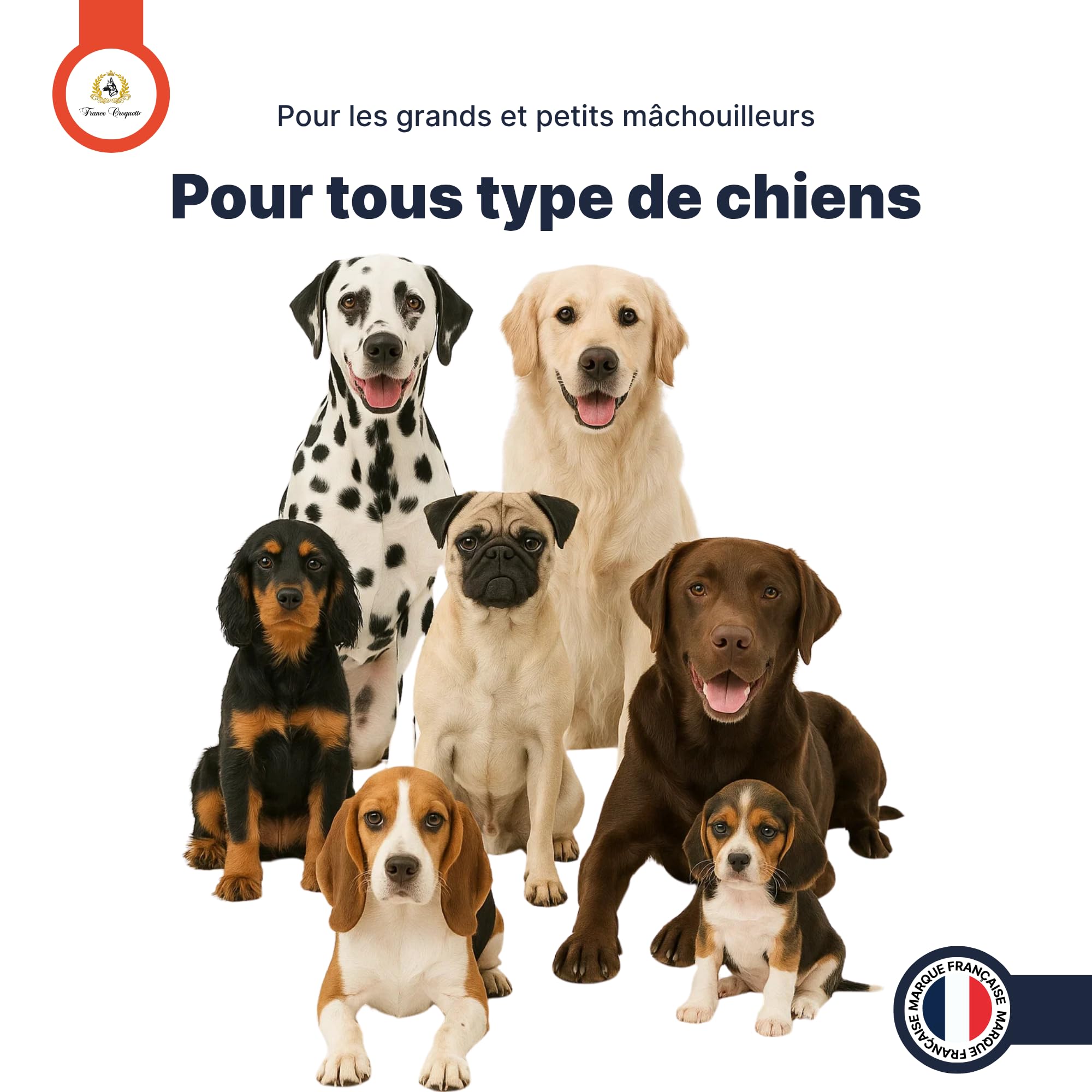 france-croquettes-friandises-trach-e-de-b-uf-chien-x3-mastication image 8