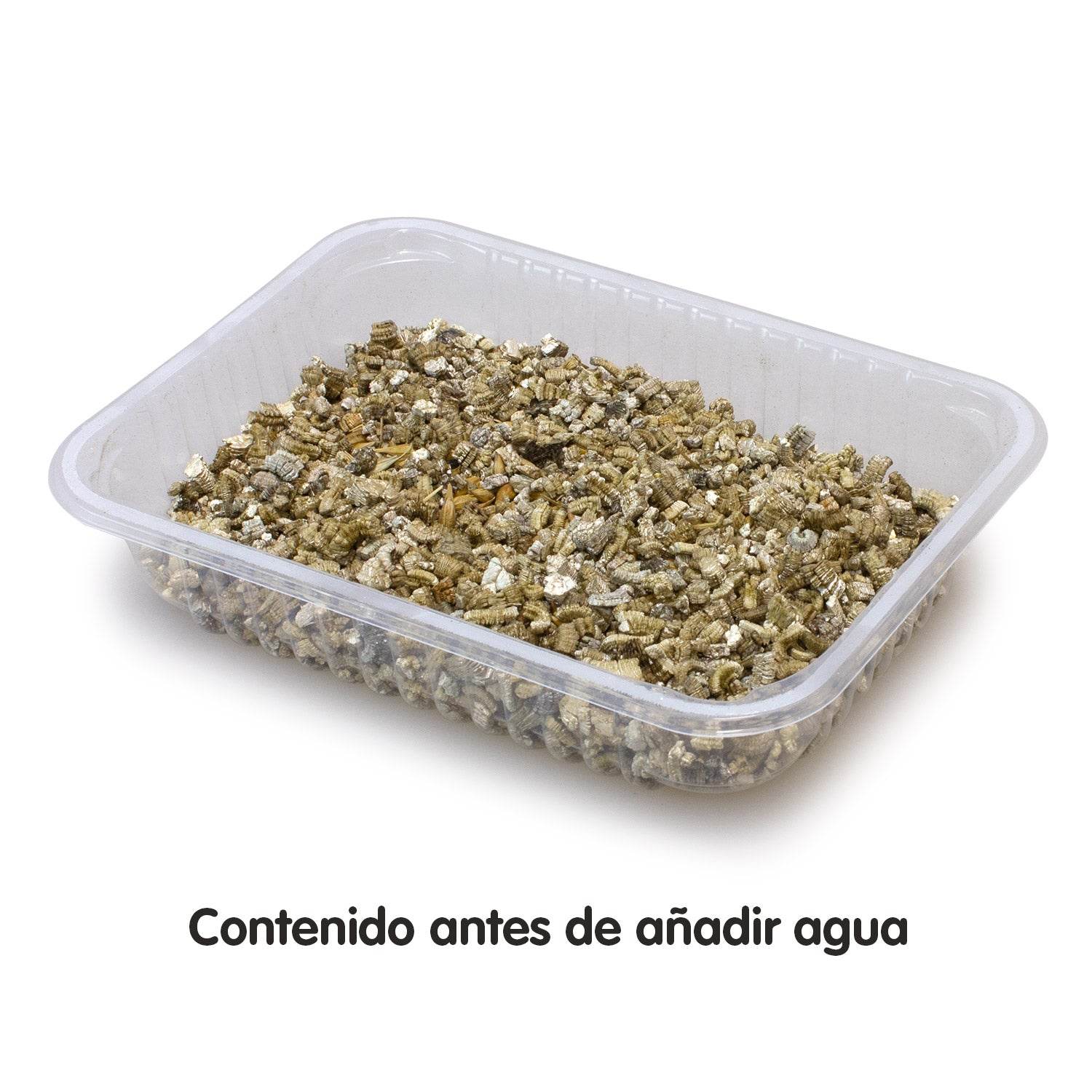 arquivet-herbe-chat-barquette-graines-100-g-fra-che image 3