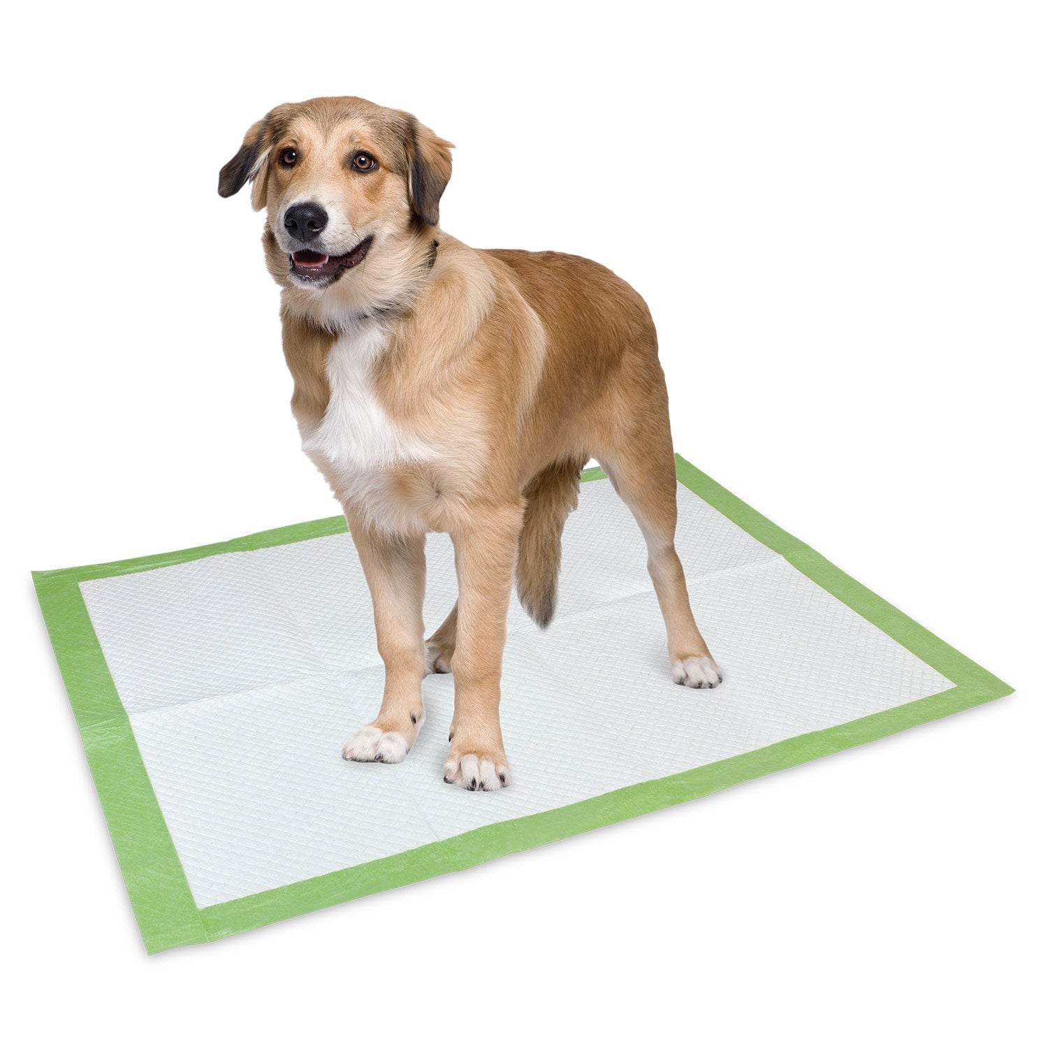 arquivet-tapis-hygi-nique-chien-biod-gradable-57x54-cm image 6