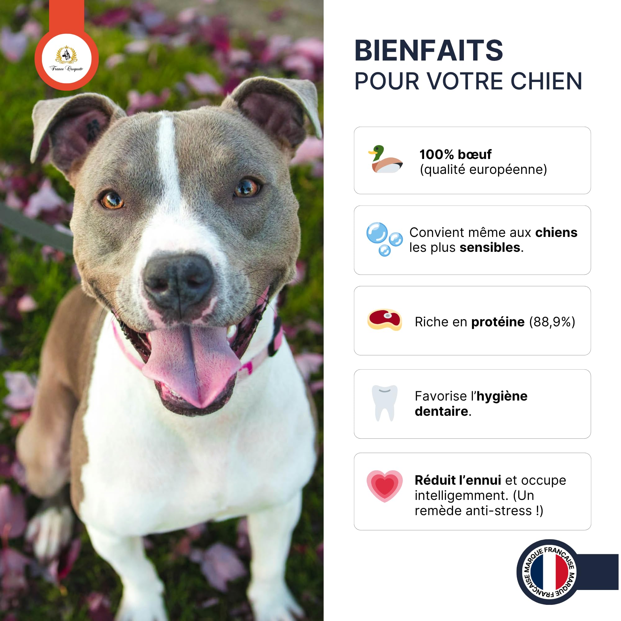 france-croquettes-friandises-tendon-b-uf-friandise-chien-500g-r-sistante image 6