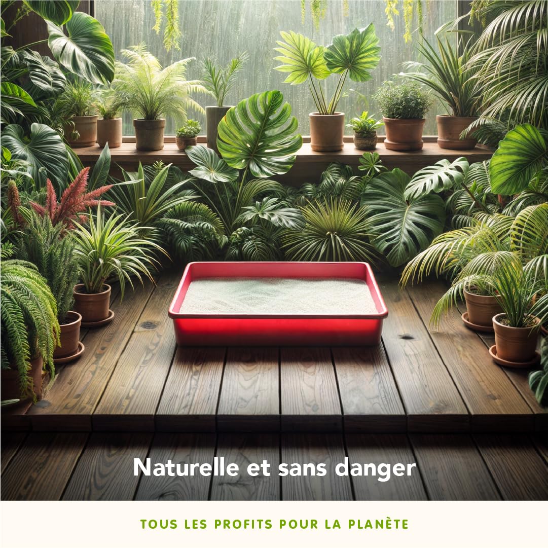 almo-nature-alternative-liti-re-v-g-tale-ivoire-4-54-kg-chat image 5