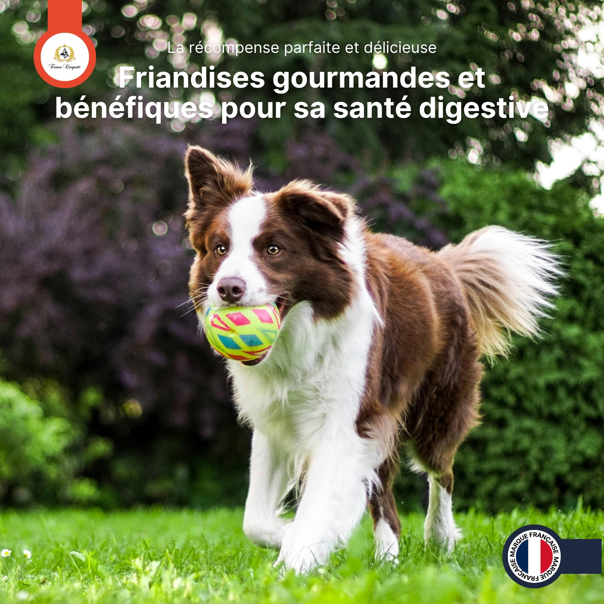 france-croquettes-les-poilus-oreilles-lapin-friandise-chien-200g image 7
