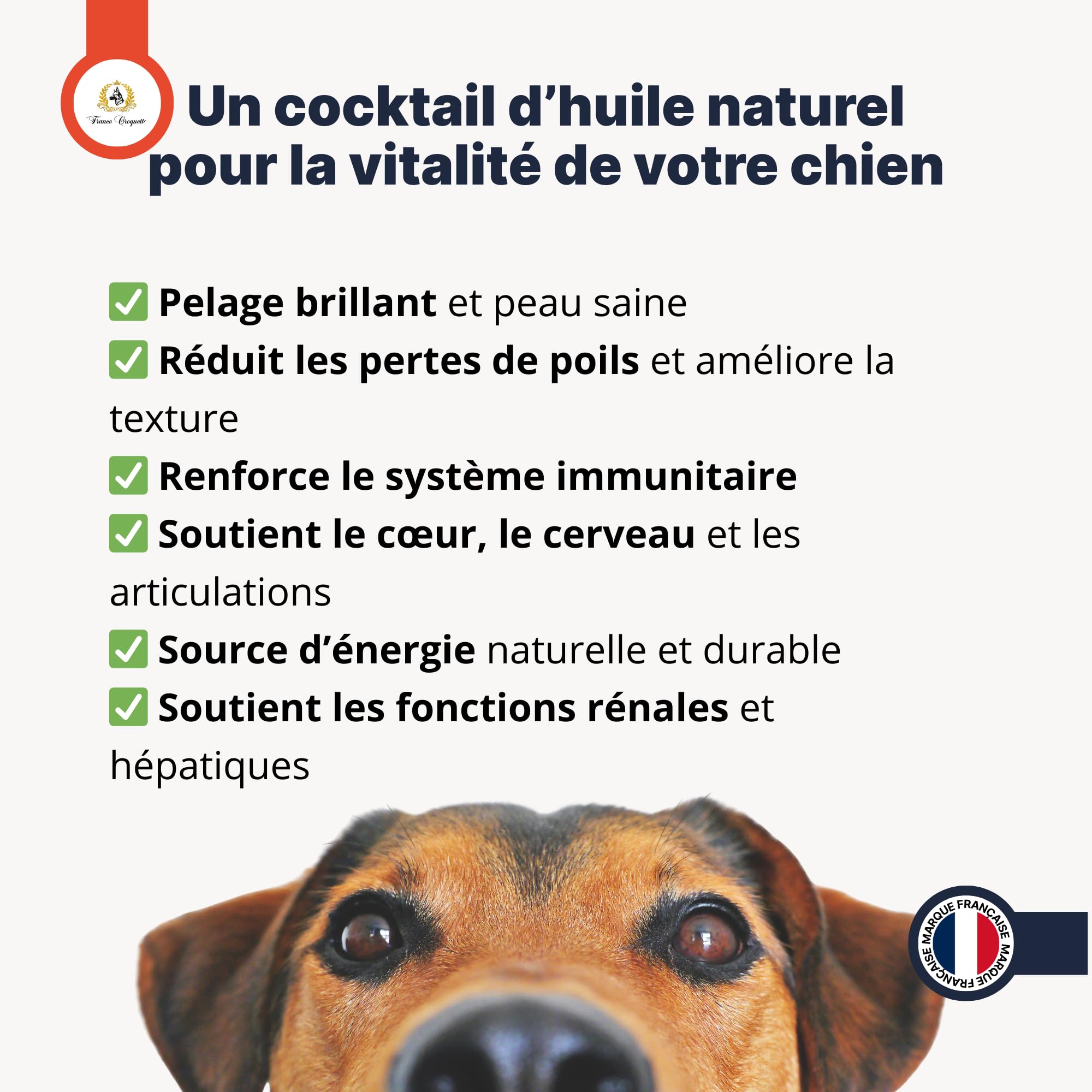 france-croquettes-double-om-ga-huile-chien-saumon-morue-500ml image 5