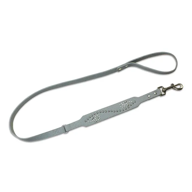 arquivet-laisse-cuir-chien-grise-clous-2x120-cm image 1