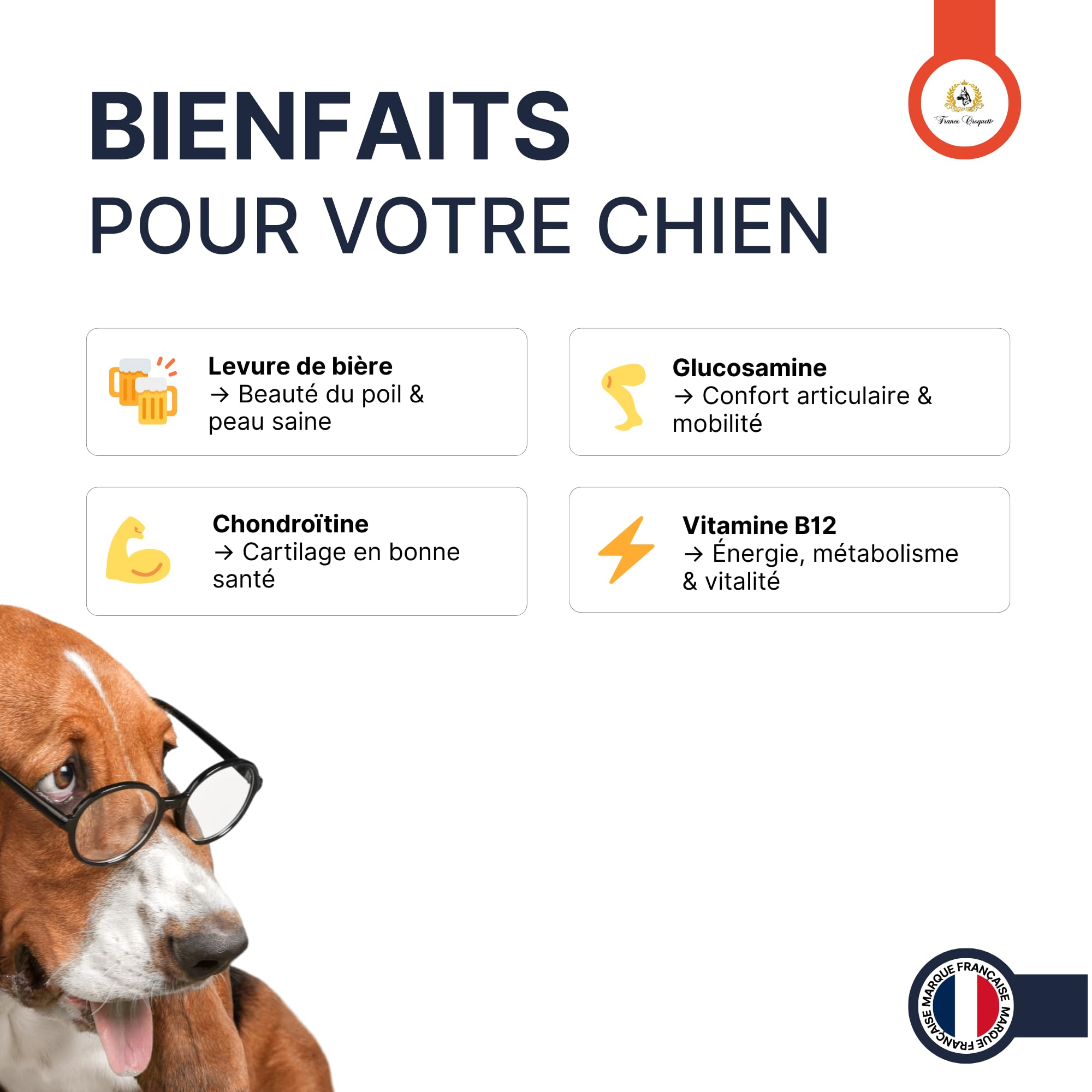 france-croquettes-x3-poudre-chien-chat-500-g-articulations image 2