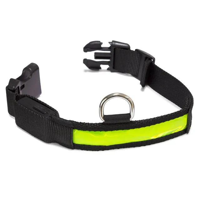 arquivet-collier-led-lumineux-jaune-chien-s-28-40-cm image 1