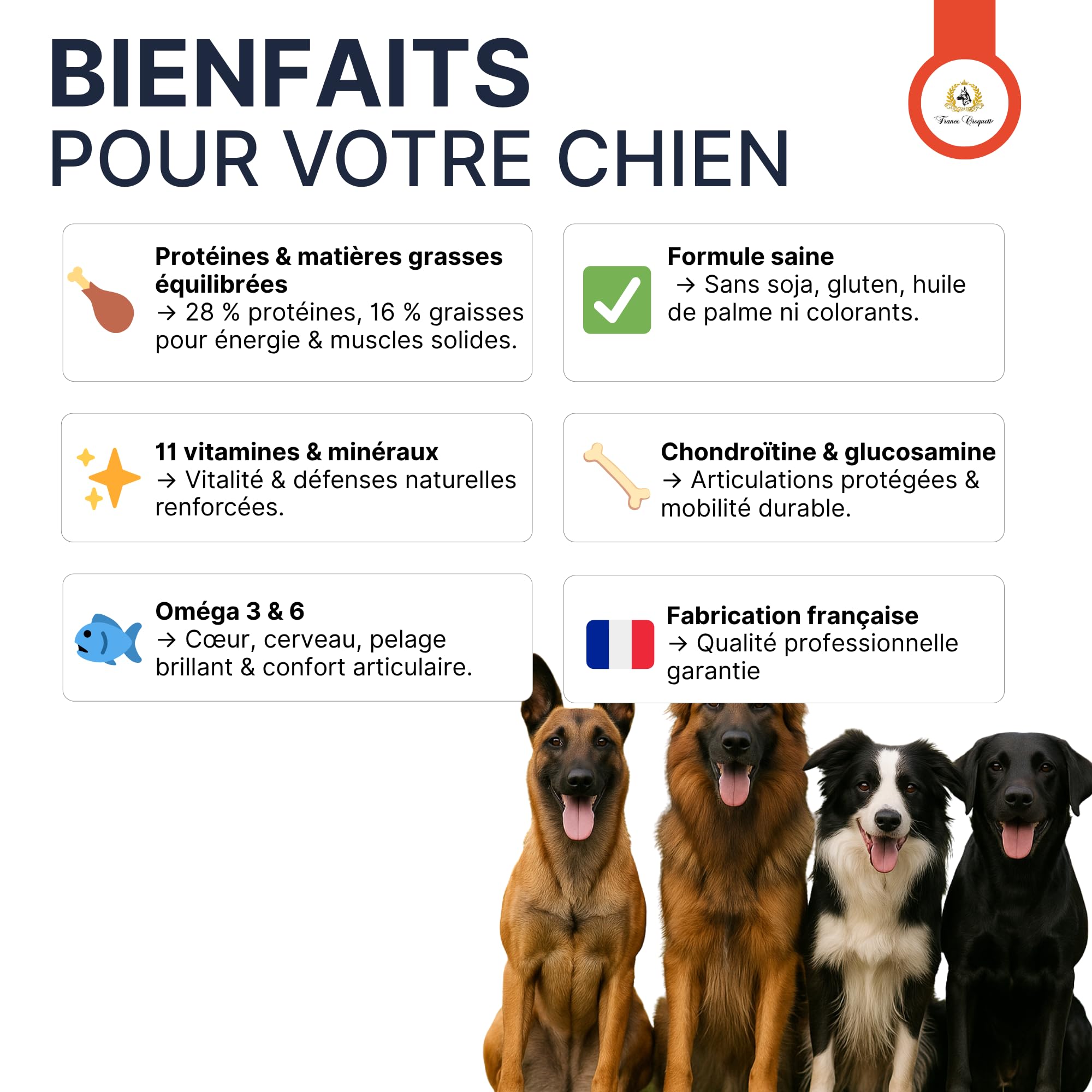 france-croquettes-sport-pro-31-14-croquettes-chien-sport-4-kg image 5