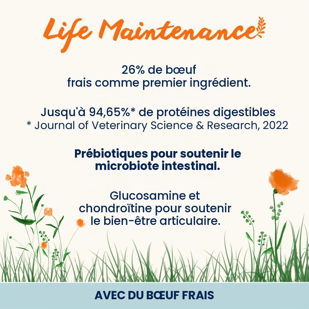 almo-nature-holistic-adult-croquettes-chien-boeuf-12-kg image 2