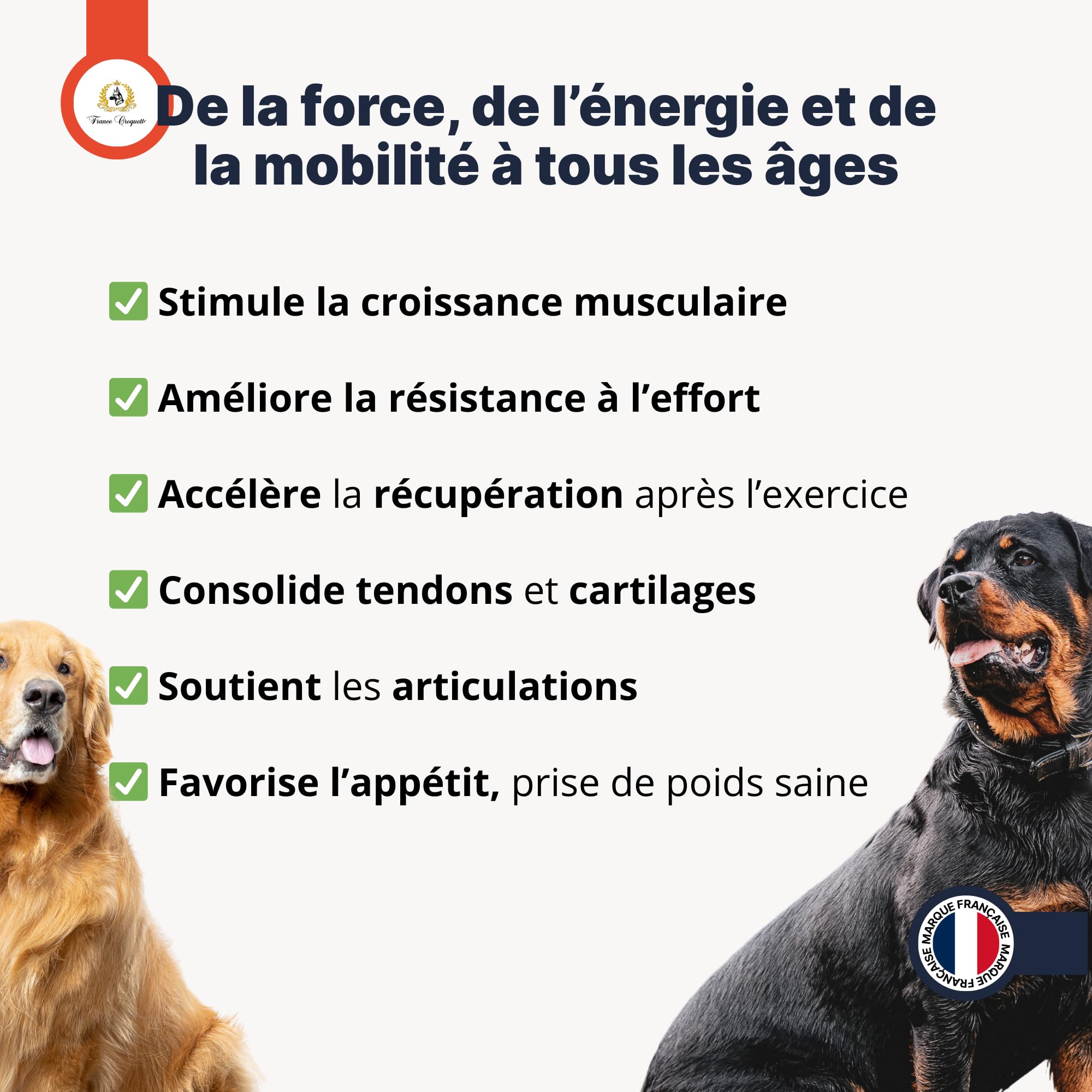 france-croquettes-x5-muscle-power-poudre-chien-500g-muscles image 5
