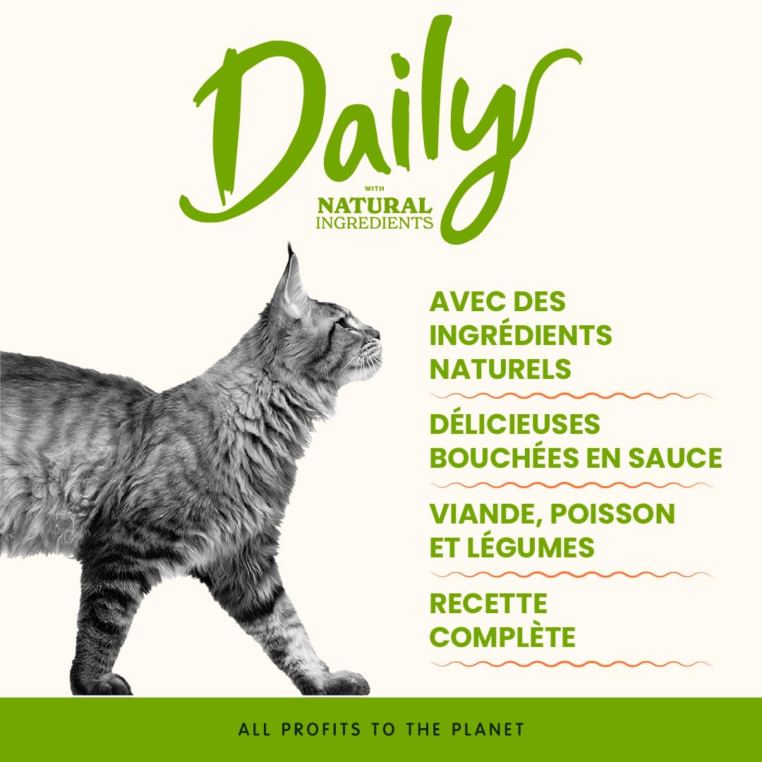 almo-nature-daily-p-t-e-chat-poulet-saumon-30x70g-sauce image 2