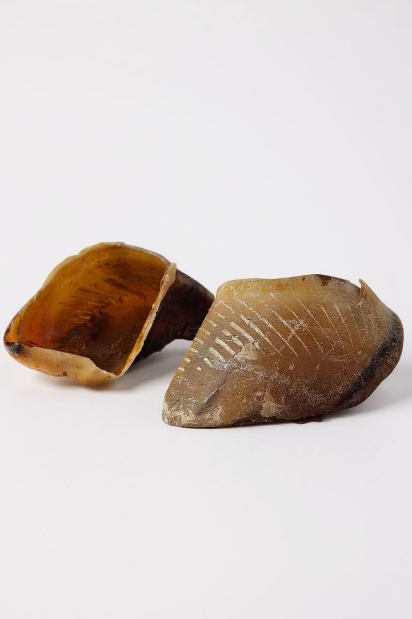 france-croquettes-sabots-b-uf-xl-chien-lot-de-5-naturels image 1