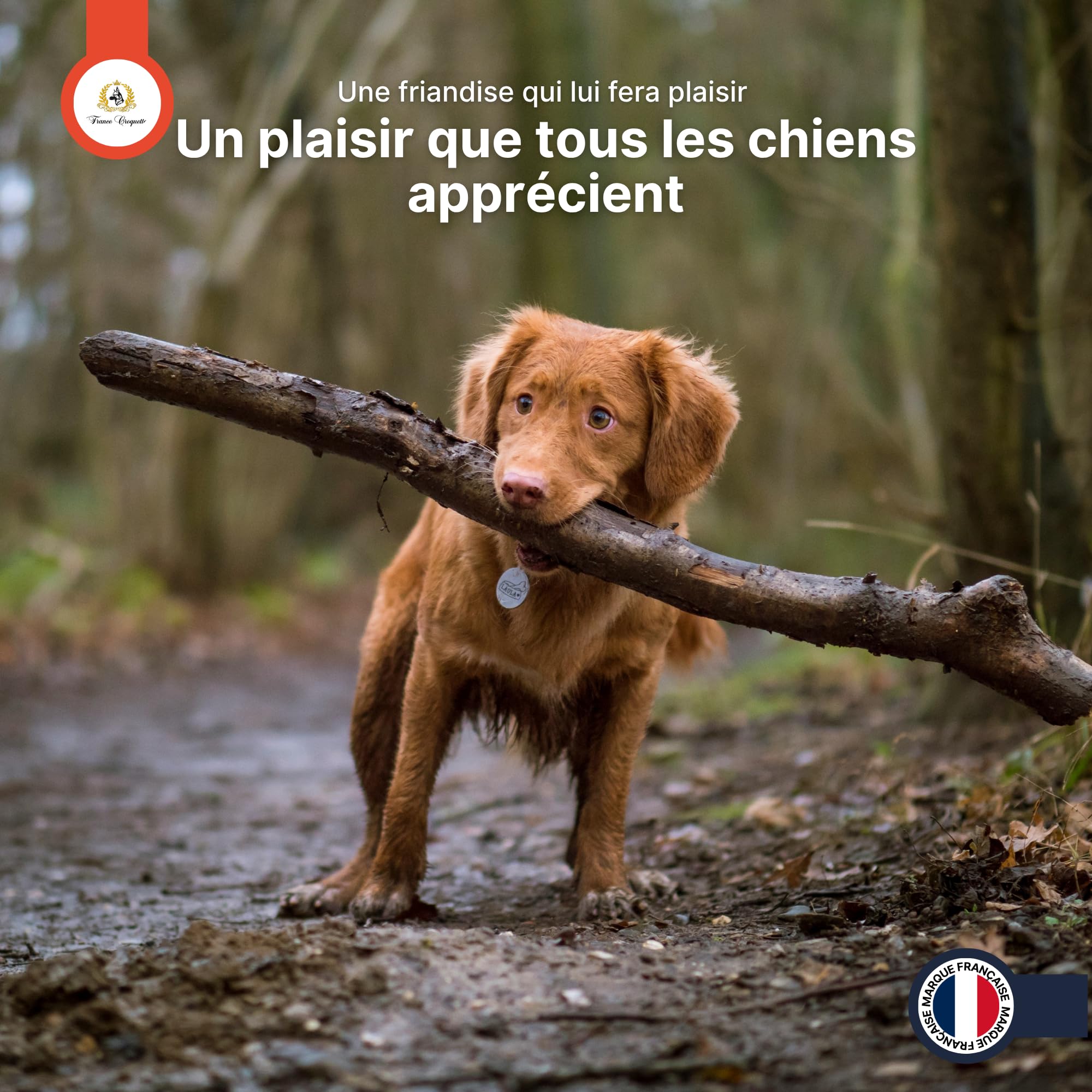 france-croquettes-r-compenses-cous-de-dinde-friandise-chien-500-g image 8