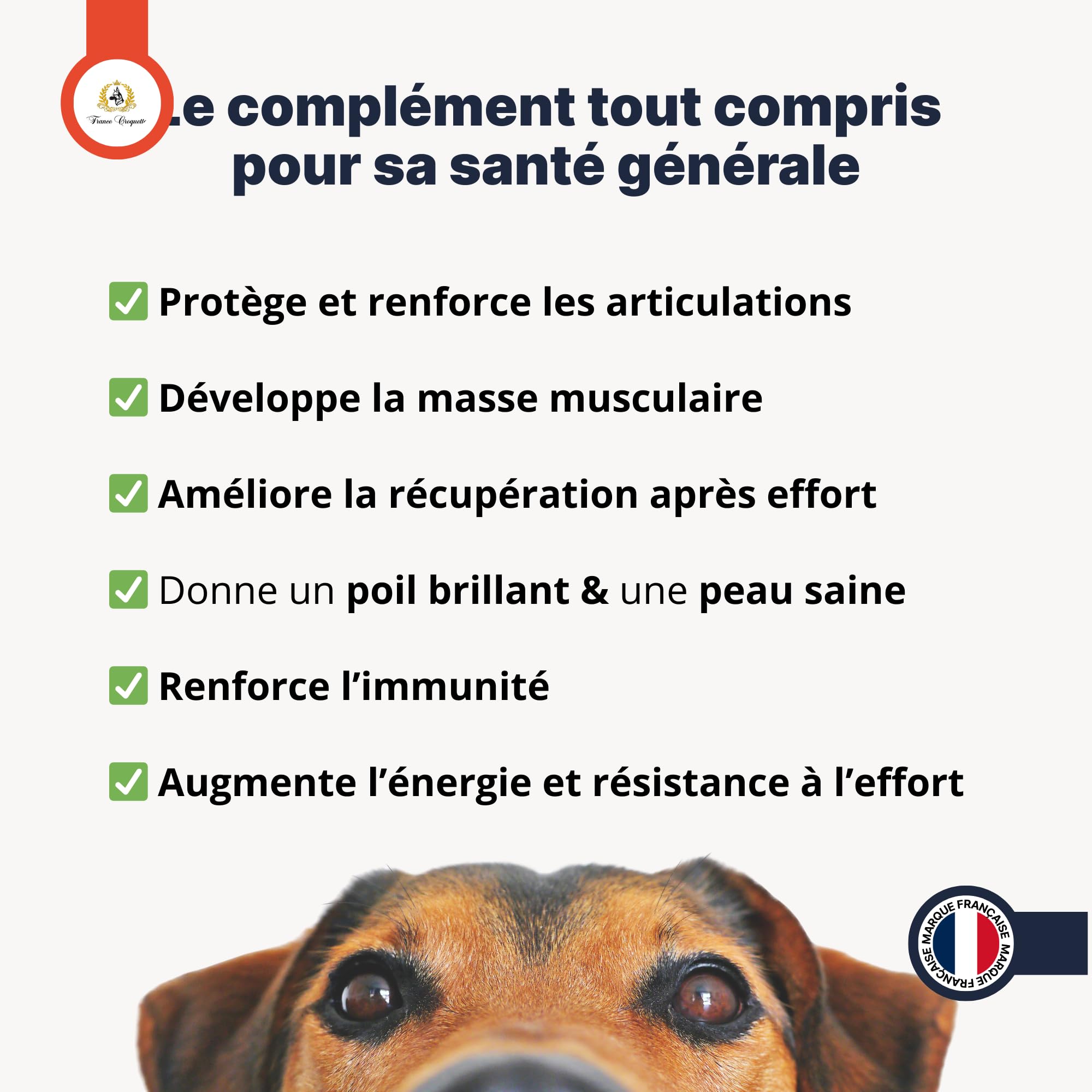 france-croquettes-x8-compl-ment-chien-poudre-500-g image 6