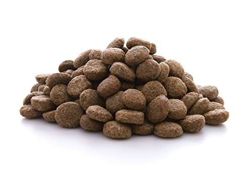 almo-nature-hfc-adult-croquettes-chien-saumon-moyen-grand-8kg image 5