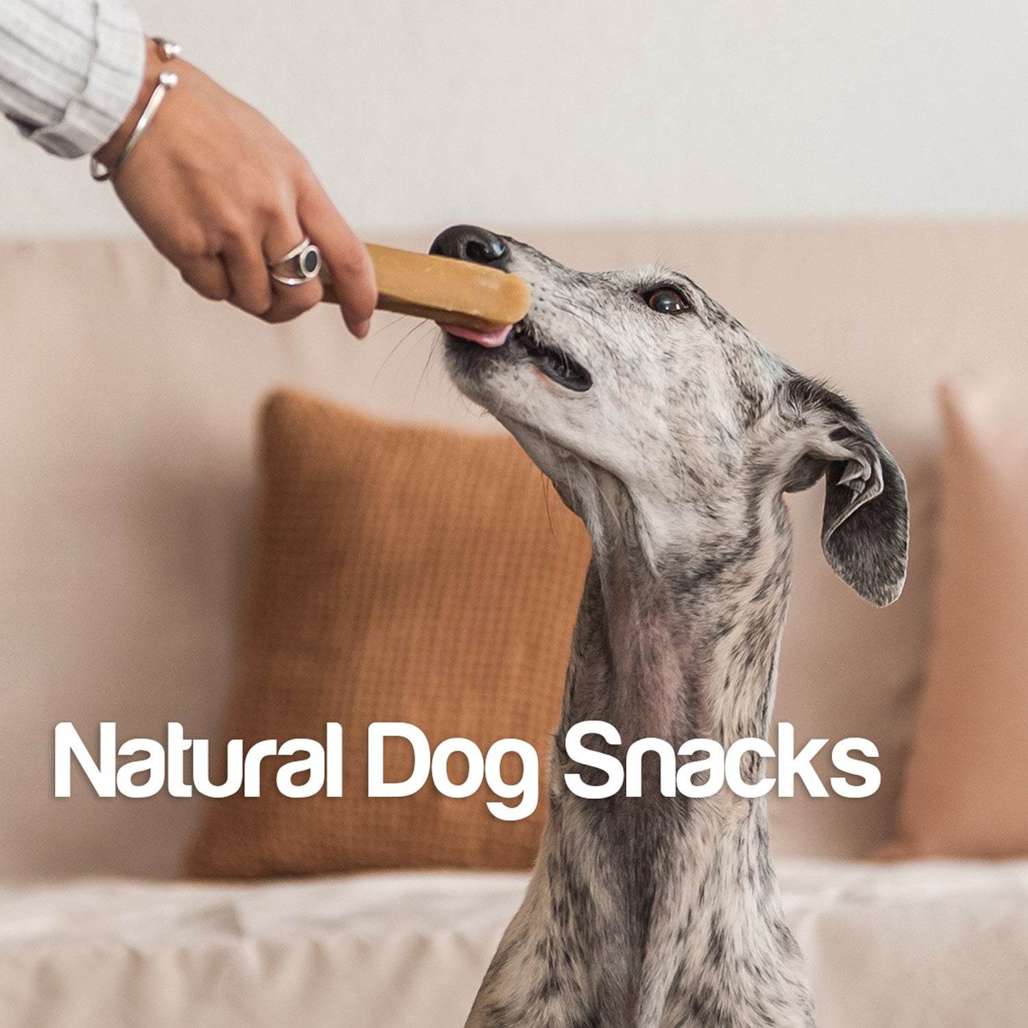 arquivet-dog-snacks-lamelles-agneau-100-g image 4